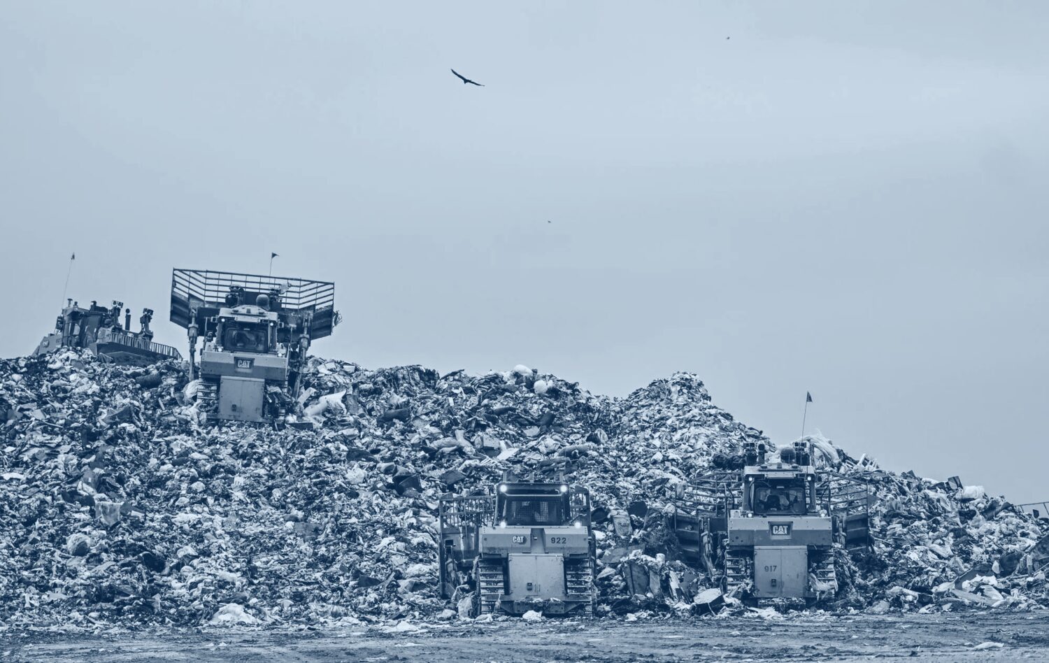 Environment